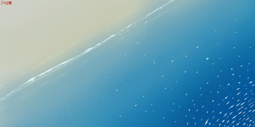 星雨网络科技